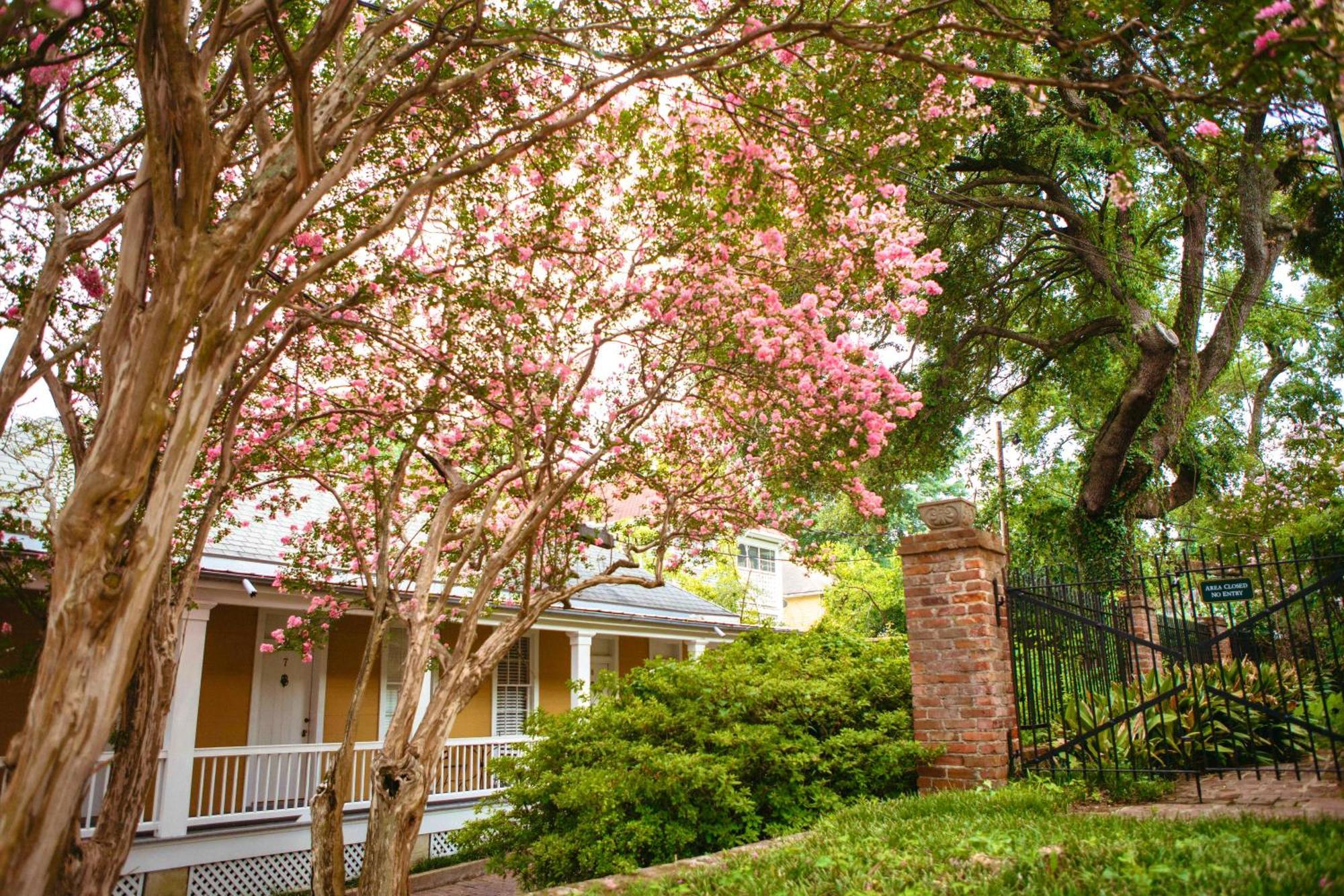 Anchuca Historic Mansion & Inn Vicksburg Bagian luar foto